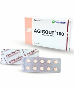Agigout 100 Allopurinol 100mg Agimexpharm (T140/H100v)