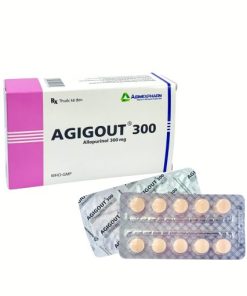 Agigout 300  Allopurinol 300mg Agimexpharm (T200/H50v)