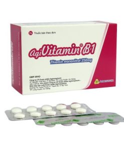 Agivitamin B1 250 Thiamin mononitrat 250mg Agimexpharm (T144/H100v)