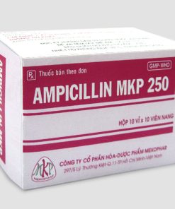 Ampicillin MKP 500 Mekophar (Hộp 100 viên)
