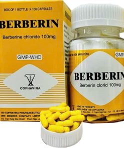 Berberin 100mg Armephaco (Chai 100 viên)