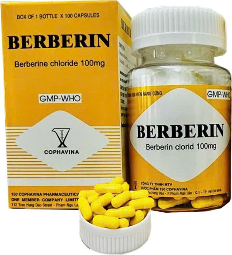 Berberin 100mg Armephaco (Chai 100 viên)