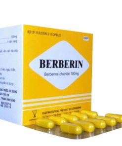 Berberin 100mg Armephaco (Hộp 100 viên)