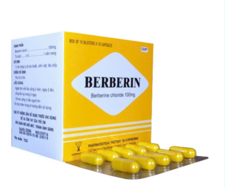Berberin 100mg Armephaco (Hộp 100 viên)