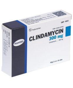 Clindamycin 300mg Phapharco (Hộp 20 viên)