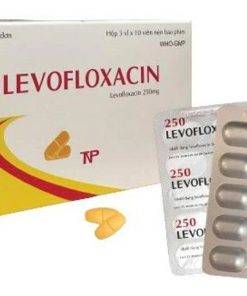 Levofloxacin 250 Thành Nam (Hộp 30 viên)