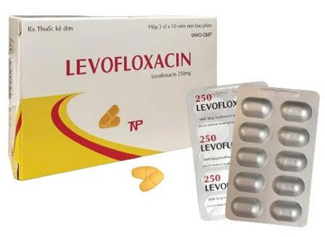 Levofloxacin 250 Thành Nam (Hộp 30 viên)