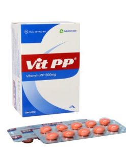 Vit Pp 500  Nicotinamid 500mg Agimexpharm (T100/H100v)