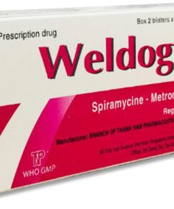 Wel Dogyl Thành Nam (Hộp 20 viên)