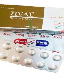 Zival Meloxicam 7.5mg Đông Nam (Hộp 100 viên)