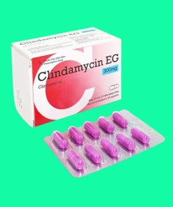 Clindamycin 300mg eg pymepharco (h/100v)