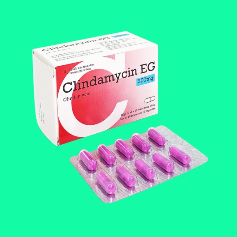 Clindamycin 300mg eg pymepharco (h/100v)