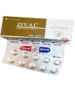 Zival - Hộp 100 viên - Đông Nam
