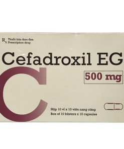 Cefadroxil eg 500mg pymepharco (h/100 viên nang)