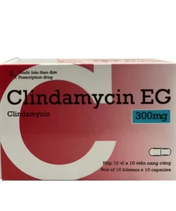 Clindamycin 300mg eg pymepharco (h/100v)